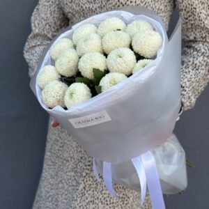 Букет из 15 белых хризантем