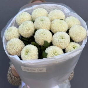 Букет из 15 белых хризантем
