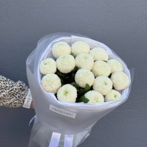 Букет из 15 белых хризантем