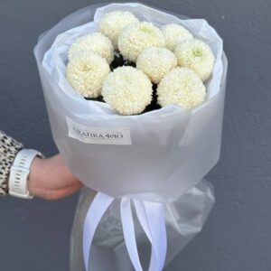Букет из 9 белых хризантем