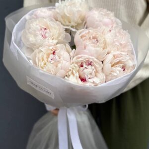 Букет белых пионов Фестива, 9 штук.