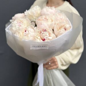 Букет белых пионов Фестива, 9 штук.