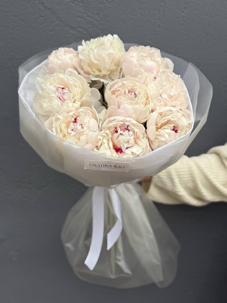 Букет белых пионов Фестива, 9 штук.