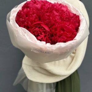 Букет красных пионов сорт Комманд Перфоманс