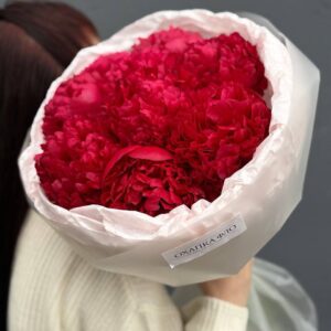 Букет красных пионов сорт Комманд Перфоманс