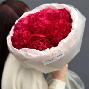 Букет красных пионов сорт Комманд Перфоманс