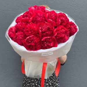 Букет красных пионов Комманд Перфоманс, 15 штук.
