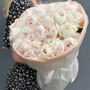Букет из пионов Фестива 25