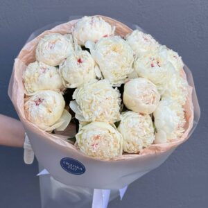 Букет белых пионов Сара вайт 15 штук
