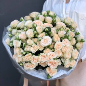 25 нежно кремовых кустовых роз в сумке переноске.