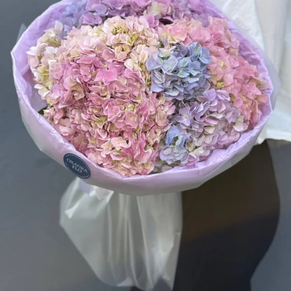 Букет из гортензий. 5 Штук.
