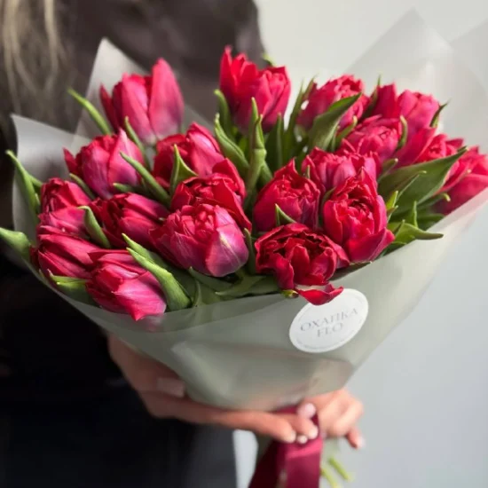 Букет тюльпанов малиновых пионовидных, 19шт