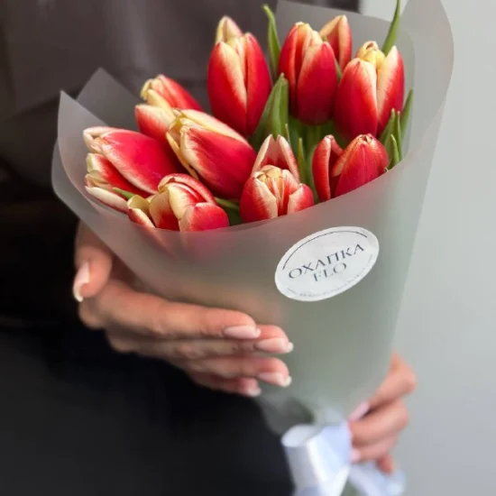 Букет тюльпанов красно-белых, 9шт