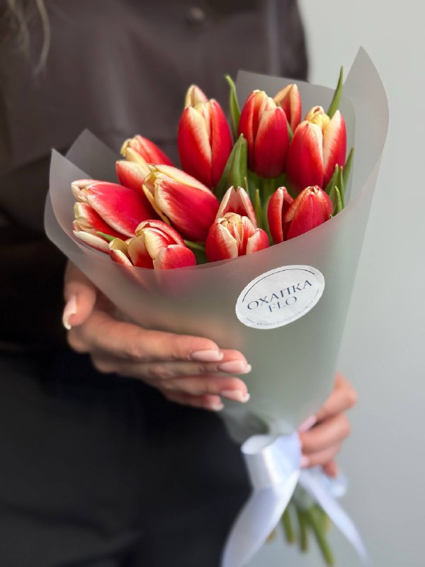 Букет тюльпанов красно-белых, 9шт