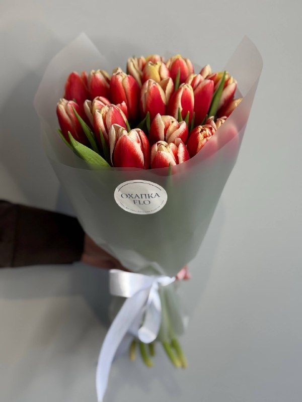 Букет тюльпанов красно-белых,19шт