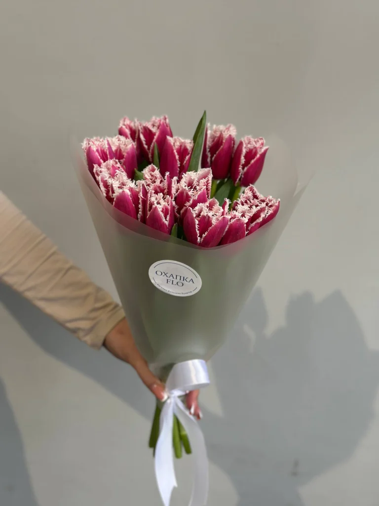 Букет малиновых тюльпанов бахромчатых, 15 шт