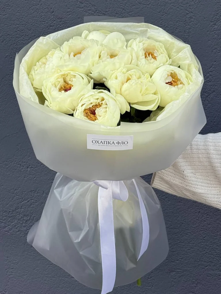 Букет пионов, 9 штук.