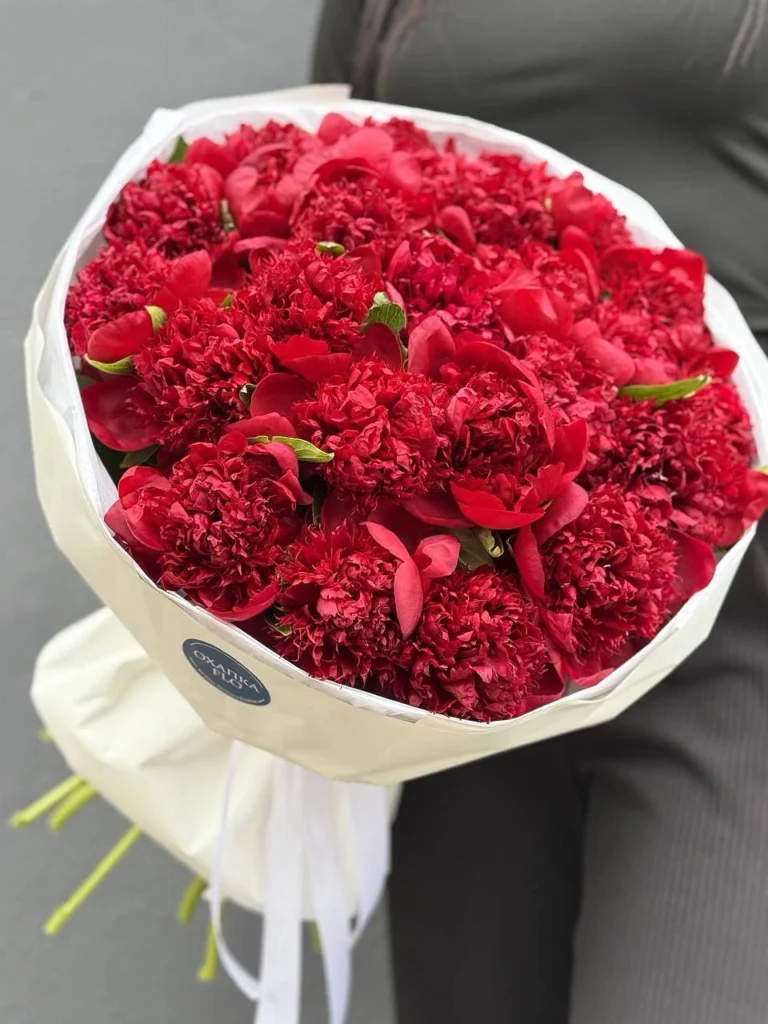 Букет красных пионов 25 штук. Купить