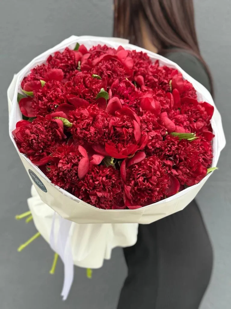 Букет красных пионов 25 штук. Купить