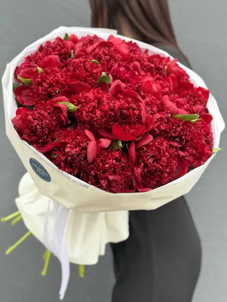 Букет красных пионов 25 штук. Купить