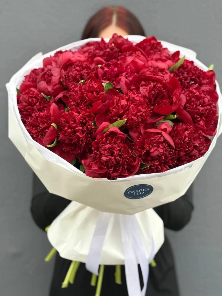 Букет красных пионов 25 штук. Купить