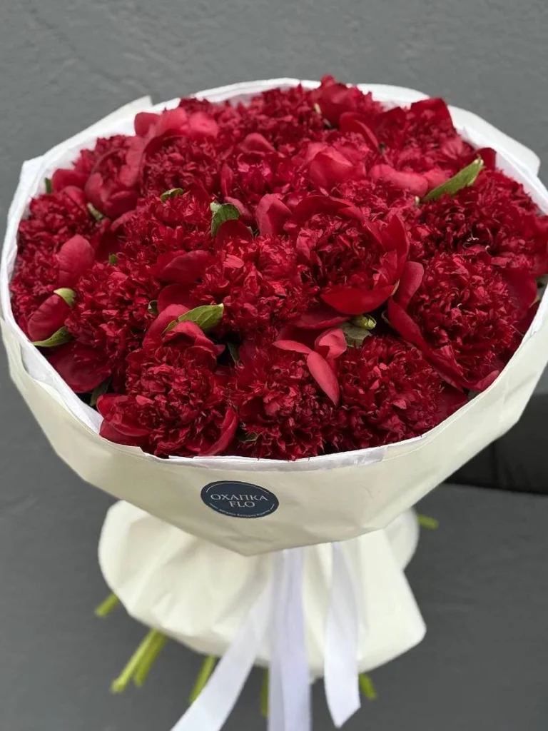 Букет красных пионов 25 штук. Купить